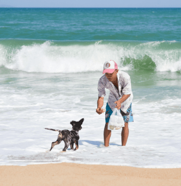 plage sur le val de l'eyre avec un vacancier et un chien