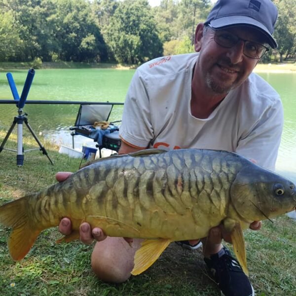 Etang de pêche au camping Ecolodge Gaïa - Dordogne, entre Périgueux et Bergerac