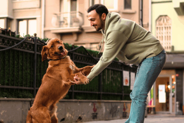 Où partir pour un week-end cet hiver avec son chien ?
