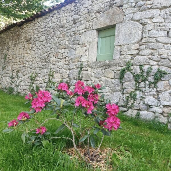 La Maison de Louis - Gîte rural dans le Cantal