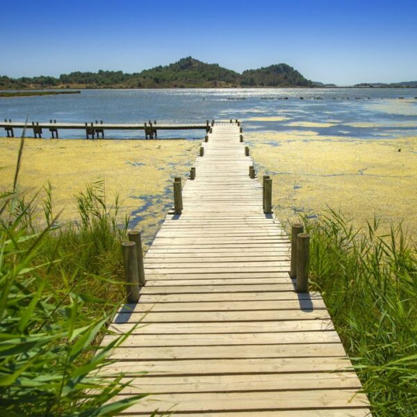 Camping à proximité de La Berre, dans l'Aude