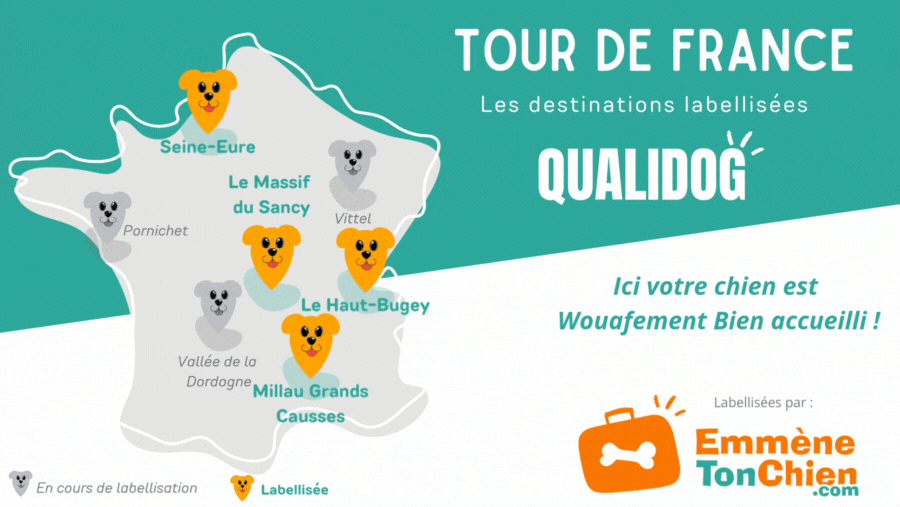 carte des offices de tourisme destination qualidog