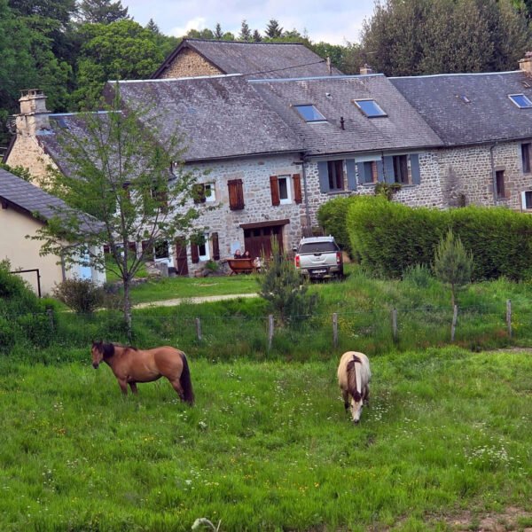 Gîte avec grand terrain clos pour chevaux - Gîte Nesst - Corrèze - Plateau des Millevaches