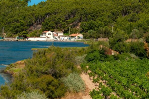 Camping Seasonova Ensoya