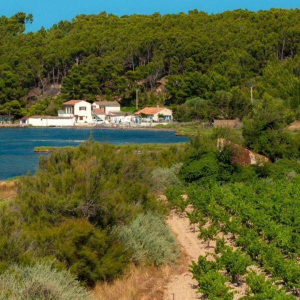 Camping Seasonova Ensoya entre étang et vignes, dans l'Aude, en Languedoc-Roussillon