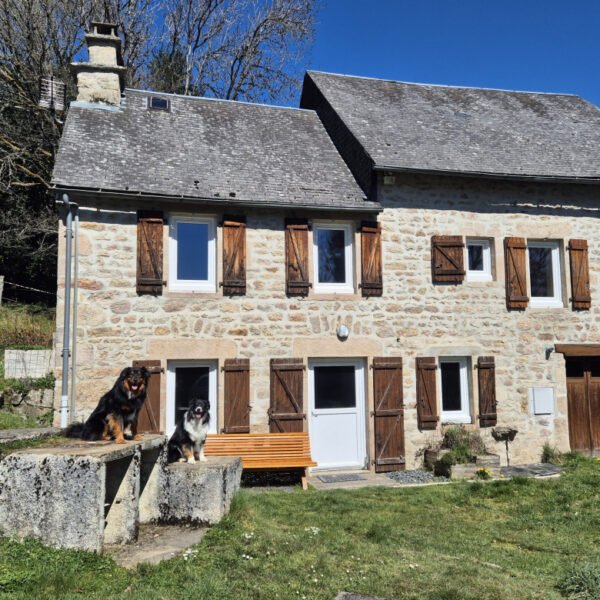 Gîte dogfriendly - Gîte Nesst - Corrèze - Plateau des Millevaches