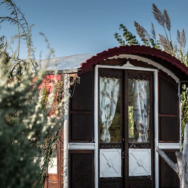 Mobil-hôme insolite au camping Les Bois Flottés de Camargue, dans le village de Salins-de-Giraud.