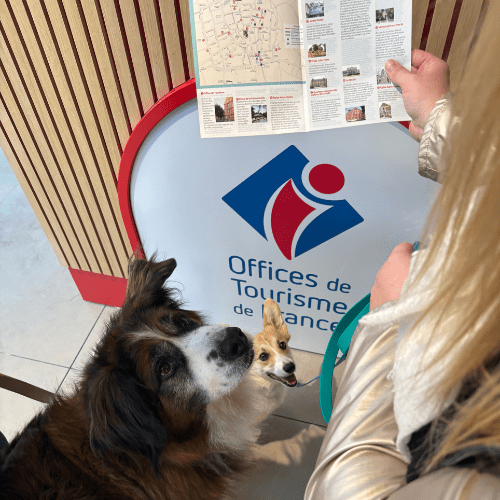 deux chiens à l'office de tourisme de Seine-Eure dans l'Eure en Normandie car la destination est QUALIDOG