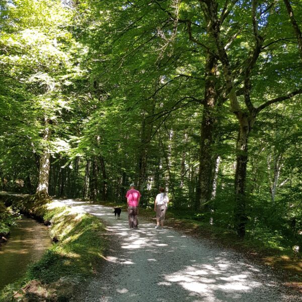 Chemin de promenade du Camping la Porte d'Autan dans l' Aude en Occitanie à Carcassonne