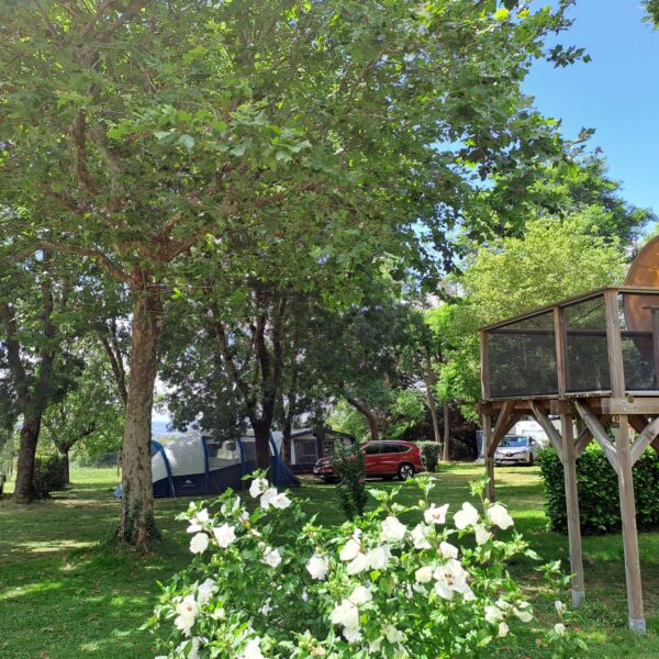 Espace vert du Camping la Porte d'Autan dans l' Aude en Occitanie à Carcassonne