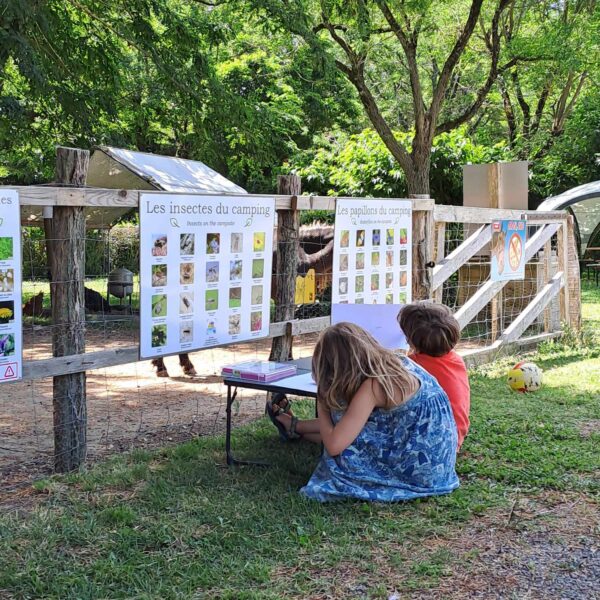 Enfants au Camping la Porte d'Autan dans l' Aude en Occitanie à Carcassonne