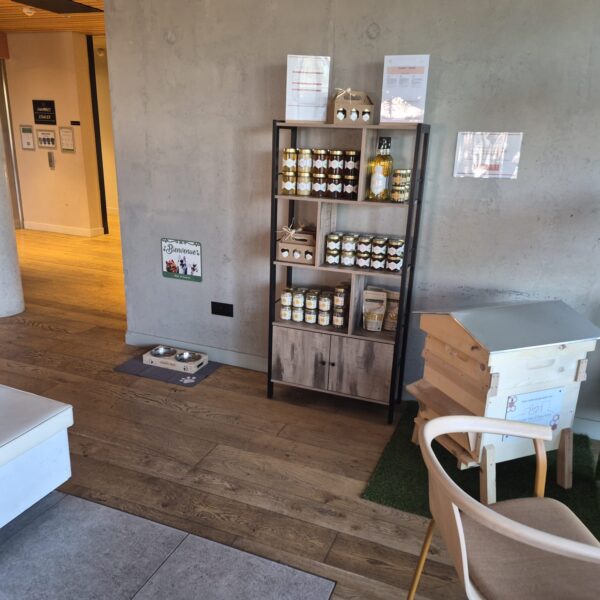 toutoubar-gamelle-pour-chiens-a-lhotel-ibis-et-ibis-styles-Montauban