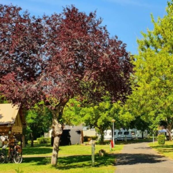 Camping les Pâtis proche de Tours dans le Val de Loire