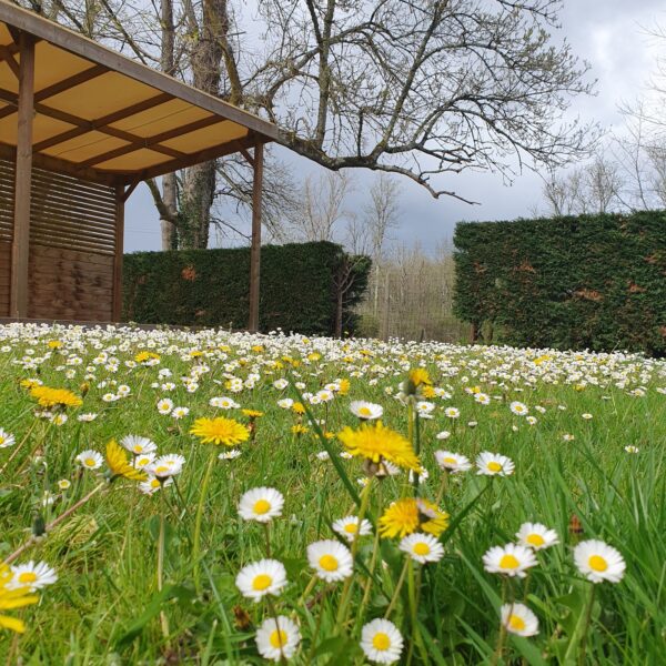 Camping nature au bord de la rivière - Camping La Cigaline, à Montpon-Ménestérol, en Dordogne, près de Bergerac.