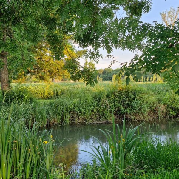 Plan d'eau près du Camping les Pâtis proche de Tours dans le Val de Loire