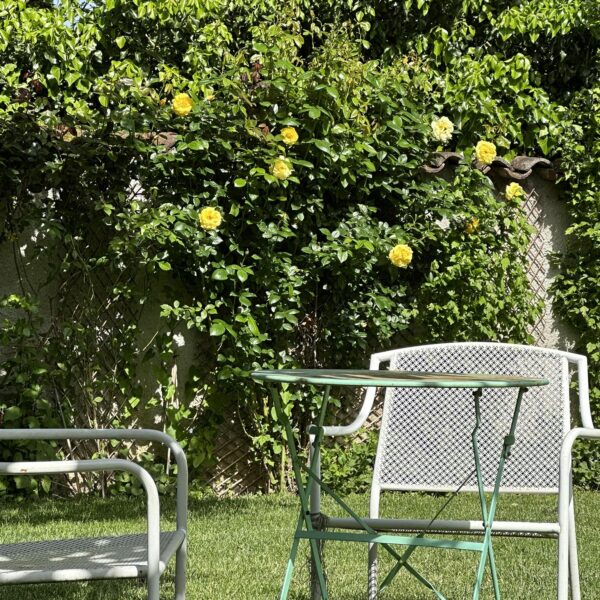 Appartement avec jardin près de Lyon - Gîte La Petite Maison des Cavaliers à Saint-Laurent-de-Mure, près de Lyon.