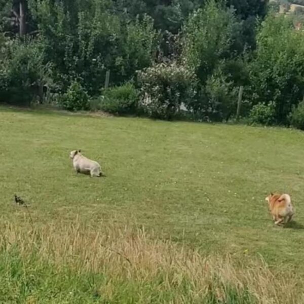 Gîte Le Pech de Vigne