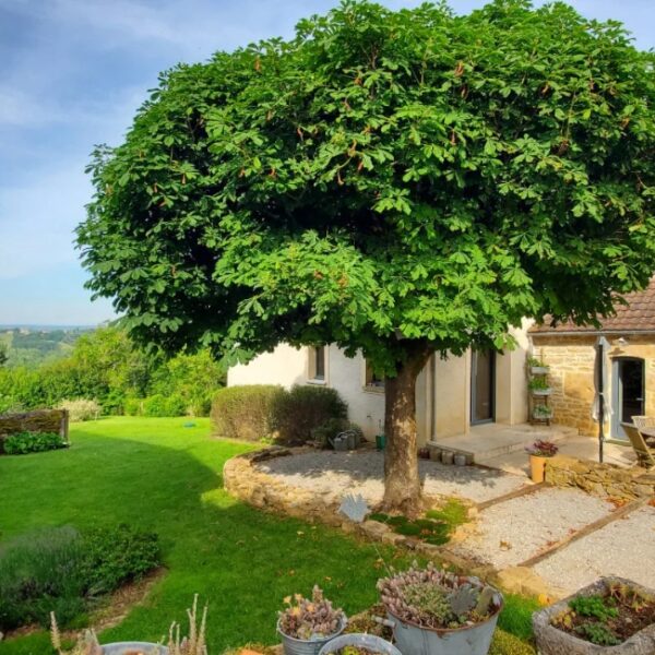 Gîte Le Pech de Vigne