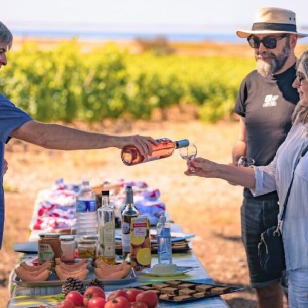 Dégustation du Domaine Viticole Du Château Le Bouis à Gruissan dans l'Aude