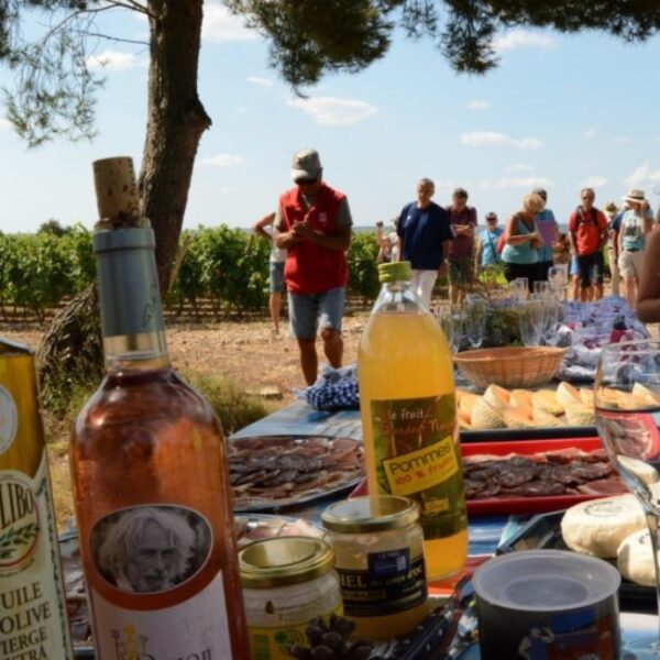 Dégustation du Domaine Viticole Du Château Le Bouis à Gruissan dans l'Aude