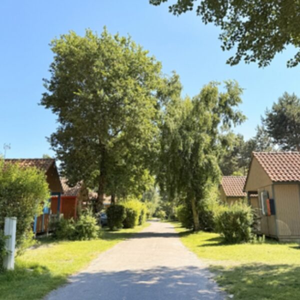 Allée du Camping de L'Orée du Bois à Rang-du-Fliers dans le Nord Pas de Calais