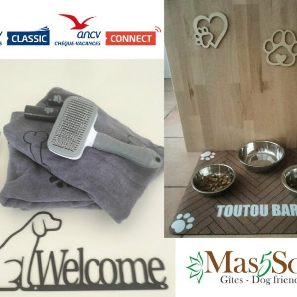 Commodités des Gîtes Mas Cinq Sols dans le Lot et Garonne à Courbiac, Nouvelle Aquitaine