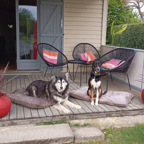 Le chalet de Bréville - vacances avec son chien en Normandie