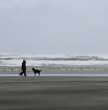 Balade à la plage avec chien