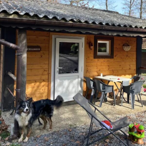 Camping Pausado Le Relais du Léman - Messery - Haute Savoie - Animaux Acceptés - EmmeneTonChien.com