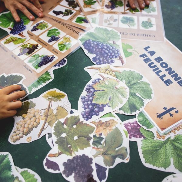 Animations du Château de Luc à Luc-sur Orbieu dans l' Aude