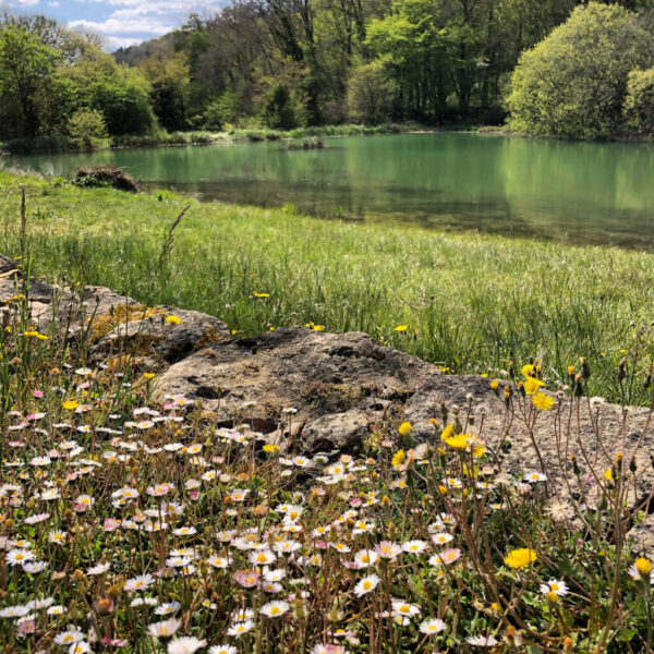 Camping La Castillonderie