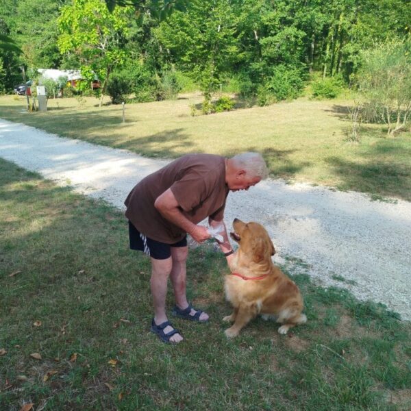 Camping La Castillonderie