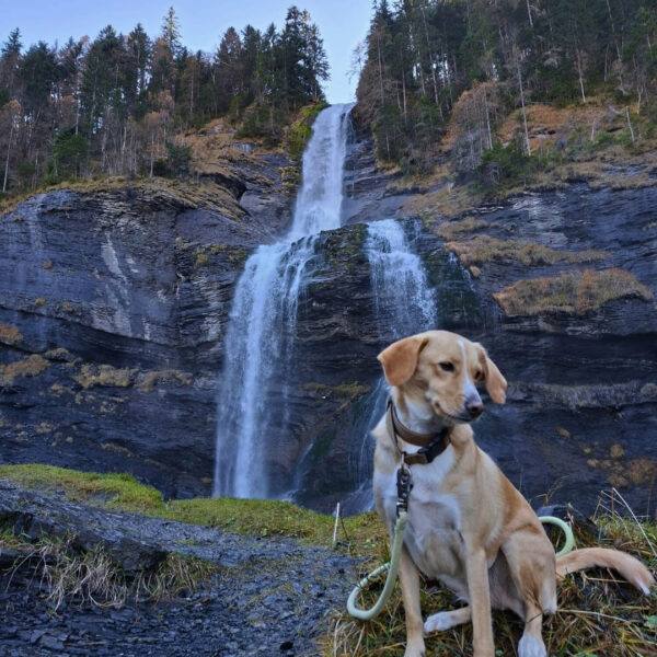 Cascade près du camping Pausado Relais du Léman en Haute-Savoie