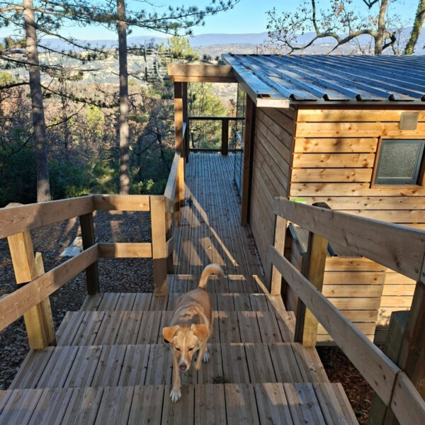 Camping chiens accpetés dans le Vaucluse - Camping le Luberon, à Apt, dans le Lubéron