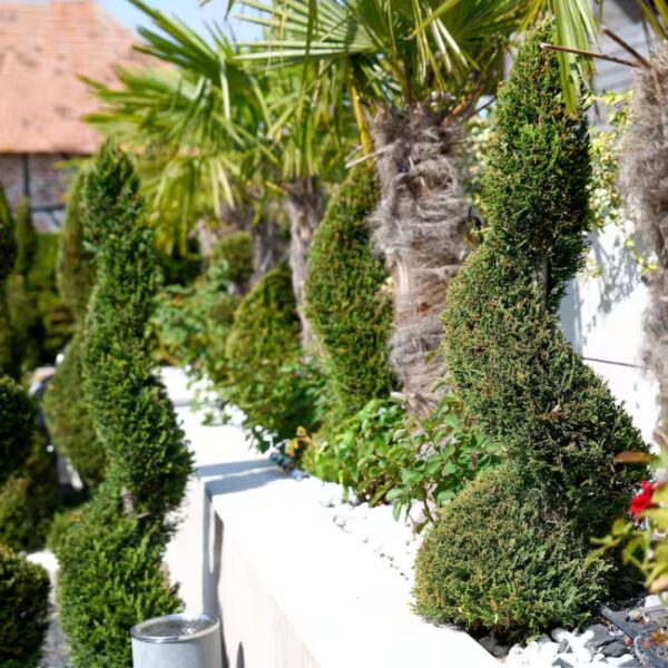 Jardin verdoyant de la Villa de la Croix, à Villechétif, près de Troyes, dans l'Aube, en Champagne