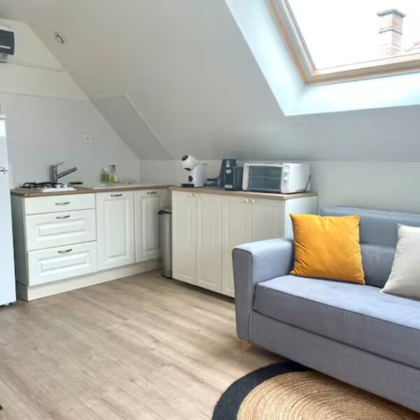 Salon et coin cuisine du Gîte Le Cabanon de la Villa de la Croix, à Villechétif, près de Troyes, dans l'Aube, en Champagne