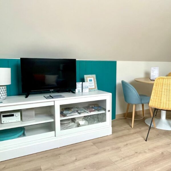 Salon séjour avec télévision - Gîte Le Cabanon de la Villa de la Croix, à Villechétif, près de Troyes, dans l'Aube, en Champagne