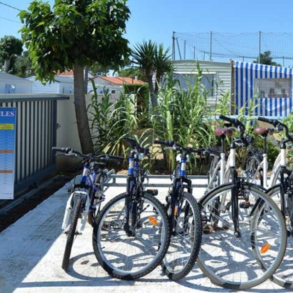 Location de vélos au Mobil-home chiens bienvenus au Camping le Pavillon Bleu, à l’Aiguillon-Presqu’île, près de la Tranche-sur-Mer, en Vendée