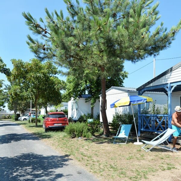 Allée du Mobil-home chiens bienvenus au Camping le Pavillon Bleu, à l’Aiguillon-Presqu’île, près de la Tranche-sur-Mer, en Vendée