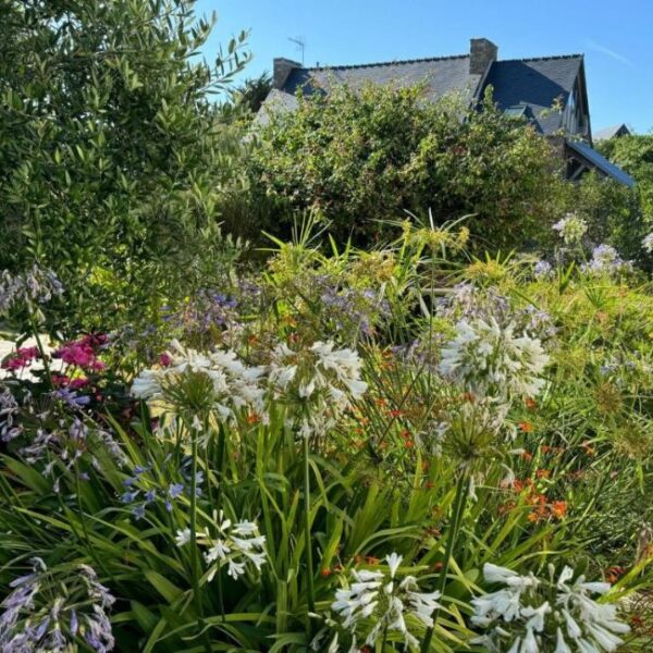 Jardin de la Maison d'Hôtes des Marées à Saint-Cast-Le-Guildo dans les Côtes d'Armor