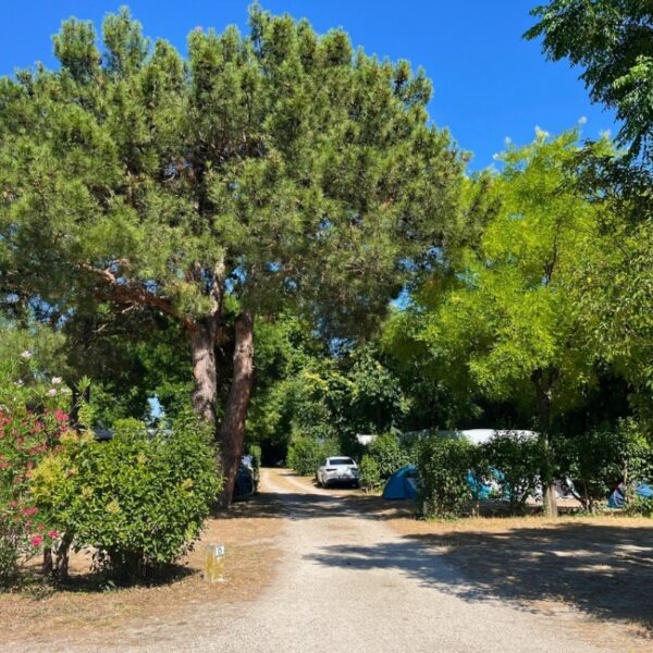 Vacances dans un camping nature - Camping Pégomas à Saint-Rémy-de-Provence, dans les Alpilles, au cœur des Bouches-du-Rhône