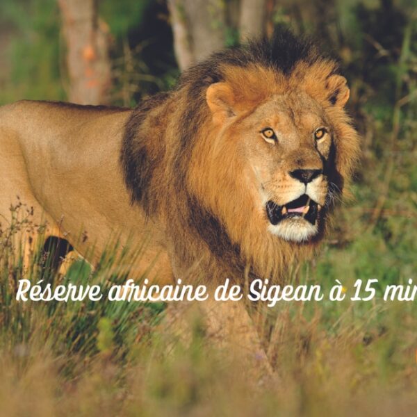 La Réserve Africaine de Sigean, à 15 min du mobil-home Entre Terre et Roseaux, à Port-la-Nouvelle, dans l'Aude.