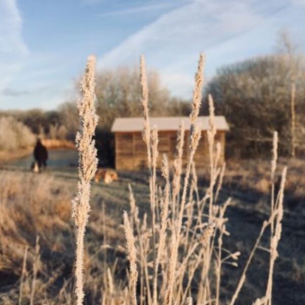 La nature autour du Domaine de Roncemay à Chassy dans l' Yonne