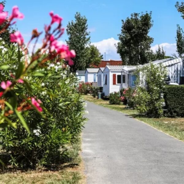 Allée du Camping Les Dinosaures à Talmont-Saint-Hilaire - Vendée