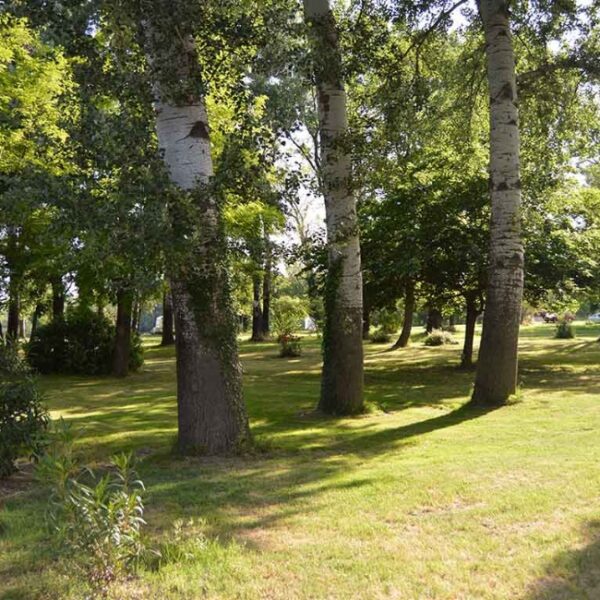 Emplacement du Camping Le Peyrolais à Saint-Julien-de-Peyrolas dans Gard