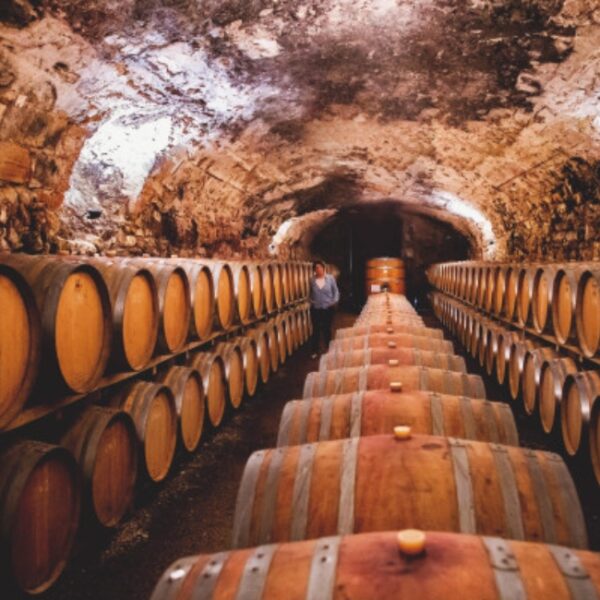 Caveau du Château de Luc à Luc-sur Orbieu dans l' Aude