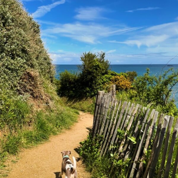 Promenade du Gîte du Goleo à Plouha dans les Côtes d'Armor