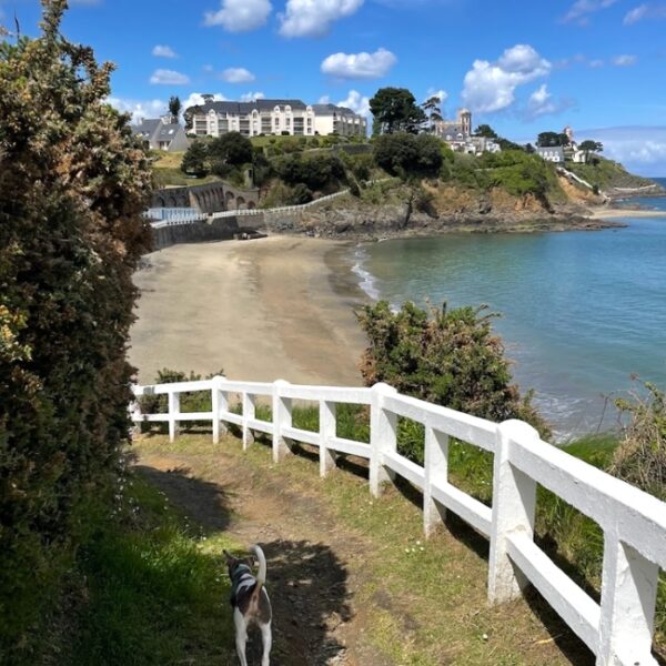 Chemins de promenade Gîte du Goleo à Plouha dans les Côtes d'Armor