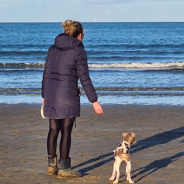 Chien et son maître à la plage proche du Gîte du Goleo à Plouha dans les Côtes d'Armor