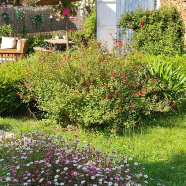 Extérieur du Gîte du Goleo à Plouha dans les Côtes d'Armor